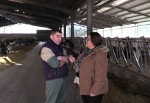 Entrevista a Javier Marcos, de Ganadería Sola