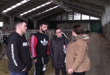 Ganadería Milhombres S.C. (Andés-Navia)