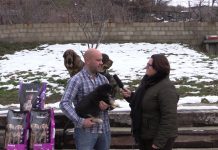 Laciana, un referente de Mastín Español