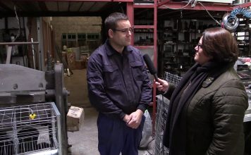 Agustín Carbajal Suárez, gerente de ISAN Avícola