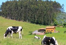 “Las herramientas para que la mujer emprenda en el medio rural existen, solo falta decisión”