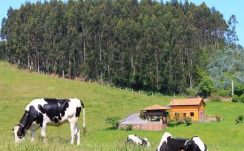 “Las herramientas para que la mujer emprenda en el medio rural existen, solo falta decisión”