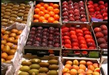 Las exportaciones españolas de productos agroalimentarios baten un record histórico