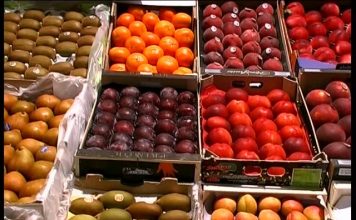 Las exportaciones españolas de productos agroalimentarios baten un record histórico