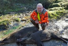 “La repoblación de rebeco ha sido todo un éxito en el coto de Morcín”