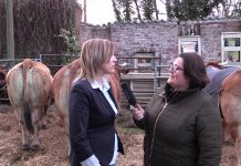 I.G.P. Ternera Asturiana presentó su nueva campaña