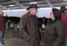 Entrevista a Ibo Álvarez, director general de Ganadería