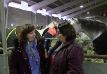 15 edición de la Feria del Caballo en Belmonte de Miranda