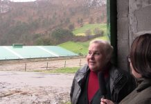 Yeguada Albeitar, ejemplo de diversificación