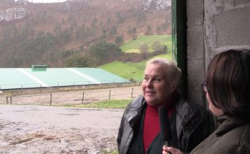 Yeguada Albeitar, ejemplo de diversificación