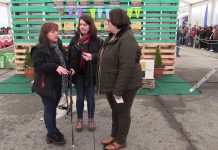 Tea Terapias con Labradores, premiada en la Feria del Perro de Tineo