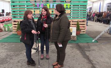 Tea Terapias con Labradores, premiada en la Feria del Perro de Tineo