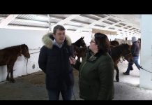 Entrevista al José Ramón Feito, alcalde de Tineo