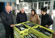 Desarrollo Rural realiza un estudio para la implantación de energías renovables en cofradías de pescadores