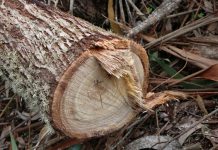 Ventajas de la venta por tonelada frente a la venta a bulto