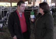 Ganadería La Casona S.C. de Linares (Salas)