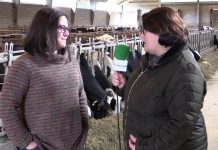 Ganadería La Cruz S.C. de Bodenaya (La Espina)