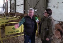 47 edición del Concurso de Asturiana de los Valles de Salas