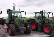 Agrícola Patricio, en la Feria de Muestras de Tineo