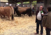 Entrevista a José Antonio Carbajosa