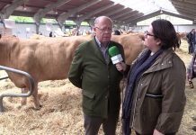 Entrevista a José Luis Fernández