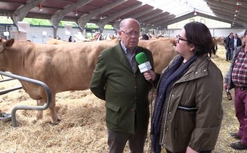 Entrevista a José Luis Fernández