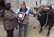 Entrevista a José Manuel Vega