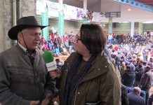 Brasil apuesta por la Asturiana de los Valles