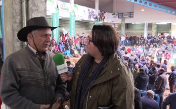 Brasil apuesta por la Asturiana de los Valles