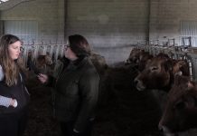 Entrevista a Albina María Pedraza, imagen de IPG Ternera Asturiana