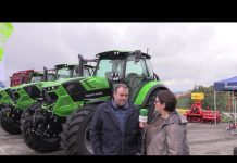 Asturceres en la Feria de Muestras de Tineo