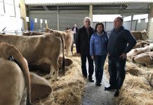 Asturias destina 5,6 millones a modernización de explotaciones ganaderas