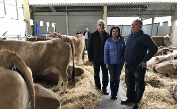 Asturias destina 5,6 millones a modernización de explotaciones ganaderas