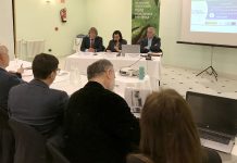 Más de 37.000 hectáreas de monte arbolado disponen de la certificación de sostenibilidad forestal en Asturias