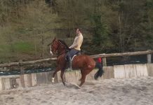 “El mundo del caballo para mí no es una profesión, es una forma de vida”