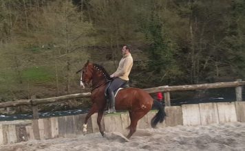 “El mundo del caballo para mí no es una profesión, es una forma de vida”