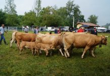 Primeras subvenciones con cargo al crédito extraordinario