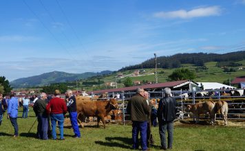 Todo preparado para la Feria de San Isidro de Llanera