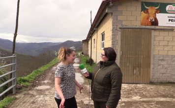 Entrevista a Diana Suárez Bustelo de Ganadería Peire