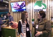 Entrevista a Cristina Sánchez, del Matadero Central de Asturias