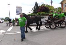 Desfile de Carros y Animales por las calles de Posada de Llanera