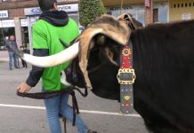 Desfile de Carros y Animales por las calles de Posada de Llanera