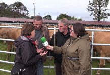 Entrevista a Deudon Thierry, operador francés en la Feria de San Isidro de Llanera