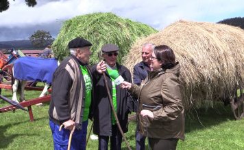 San Isidro, una feria exitosa