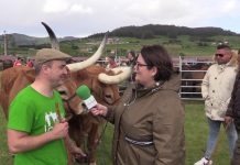 Entrevista a Mario Nogueira, propietario de bueyes