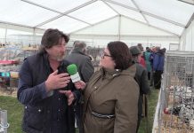 Entrevista a Arturo Gonzalez, presidente de la Asociación de Criadores de Pita Pinta Asturiana