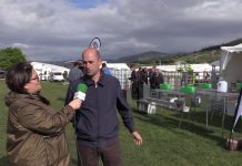 Entrevista a José Antonio Lorences, gerente de Almacenes Lorences