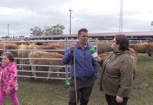 Entrevista a Berto Tama, operador