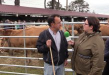 Entrevista a José Ramón Magadán de Llanera