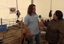 1° Prueba puntuable para el Campeonato de España de Oveja Suffolk